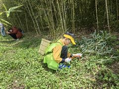 -嘉北郊野公园