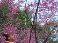 -重庆彩云湖湿地公园