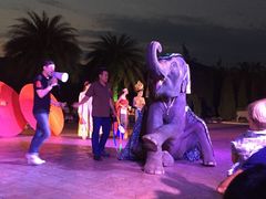 -清迈夜间动物园