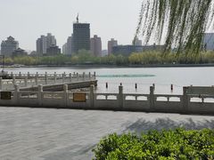 -莲花池公园
