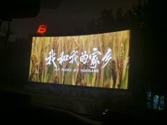 -枫花园汽车电影院(朝阳公园店)
