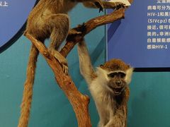 -国家自然博物馆