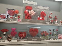 -ROSEONLY诺誓(国际广场购物中心店)