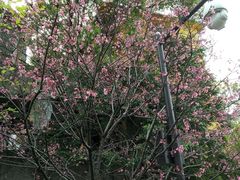 -乌山风景区
