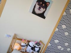 -柴犬小屋·柴餐厅·狗咖食堂(金鼎广场店)