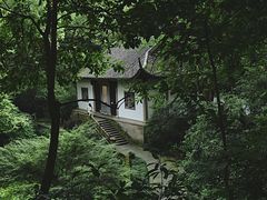 -虎跑公园