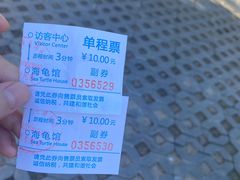 -广东惠东海龟国家级自然保护区