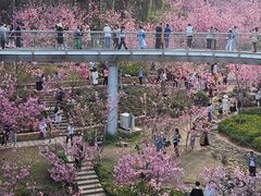 -狐尾山公园