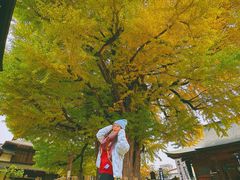 -医王山·飞騨国分寺