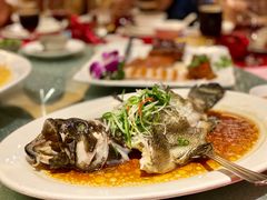 -南海渔村(珠江新城店)