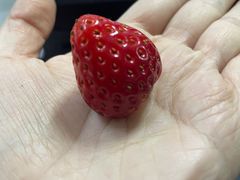 -心悦女子洗浴(北府茗苑店)