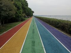 -贡湖湾湿地公园