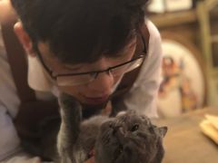 -共舞时光猫咖·狗咖(新街口店)