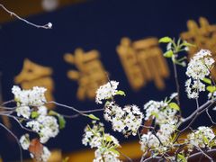 -石室禅院
