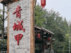 -青城甲(青城山店)