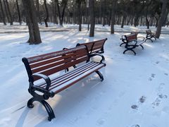 -长春市南湖公园