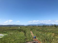 -漩门湾国家湿地公园