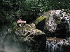 -牛背梁国家森林公园