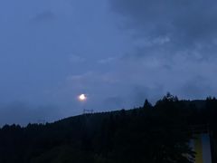 -武陵山森林公园
