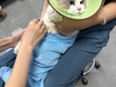 -贝利宠物医院·骨科·眼科·肿瘤转诊中心(南坪诊疗中心)