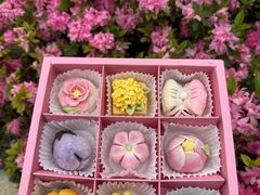 -稻香村(观前街店)