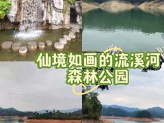 -广州市流溪河国家森林公园