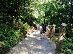 -终南山南五台景区