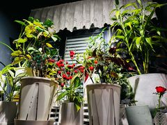 -懒人盐府人家(航天桥店)