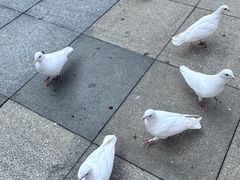-江燕路万科里
