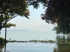 -湖南东洞庭湖国家级自然保护区