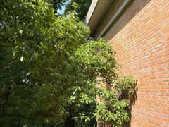 -浙江大学(之江校区)