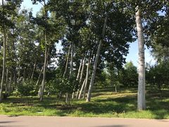 -永定河休闲森林公园