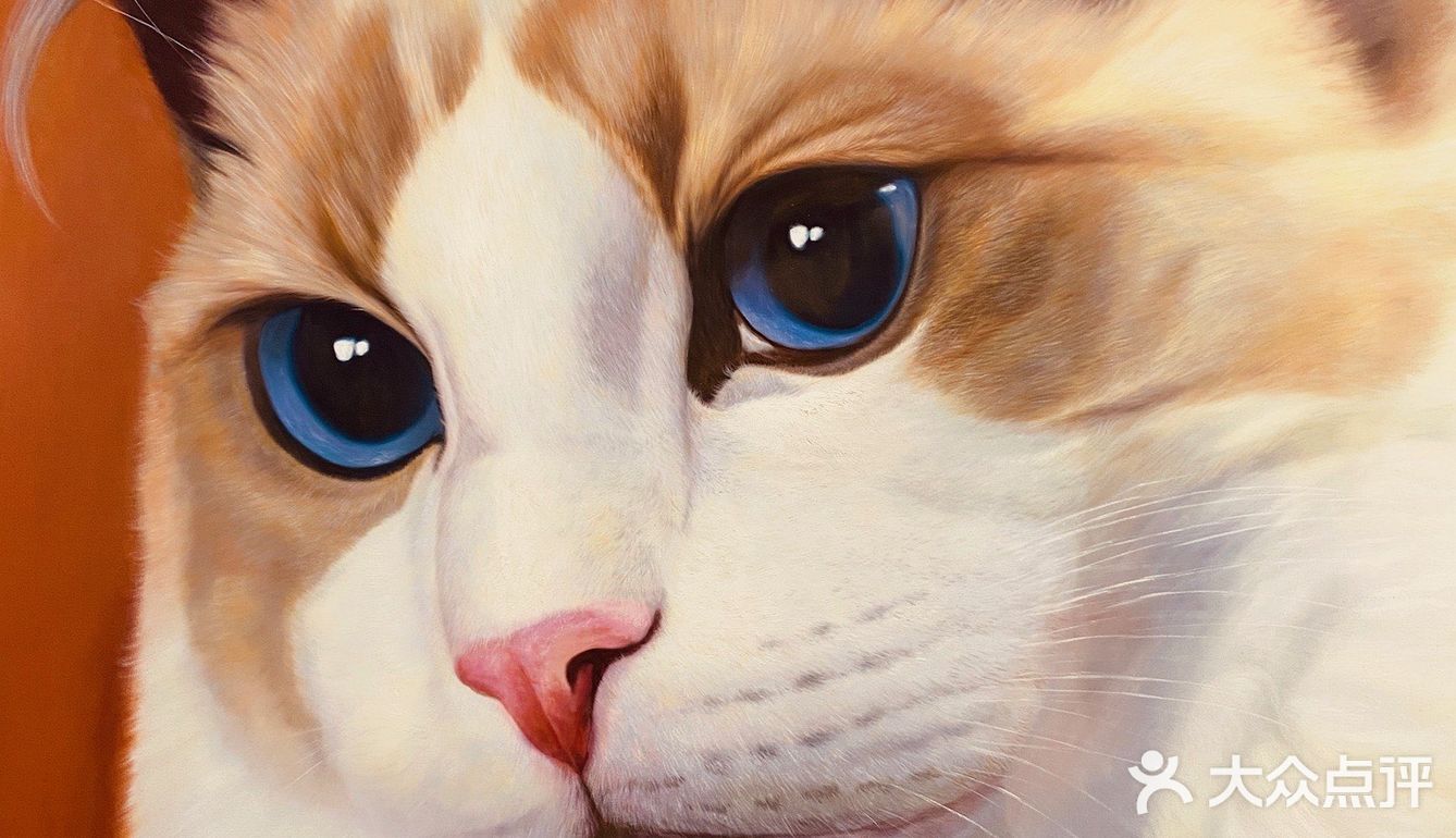 撸猫一时爽，一直撸猫一直爽！