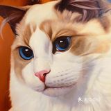 撸猫一时爽，一直撸猫一直爽！