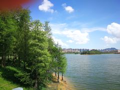 -松山湖南湖湾露营营地