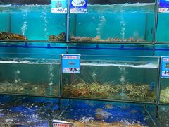 -南海渔家•海鲜•正宗海南菜(海棠湾店)