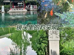 -趵突泉景区