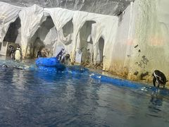 -太平洋海底世界