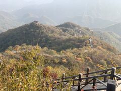 -大岭沟猕猴桃谷风景区