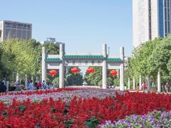 -武汉大学-樱园
