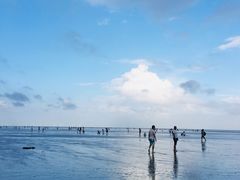 -南汇嘴观海公园