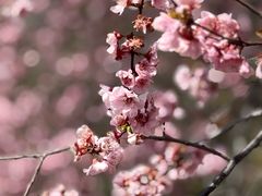 -洛阳市隋唐城遗址植物园
