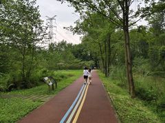 -桤木河湿地公园