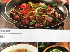 -甘家界牌柠檬鸭(青山店)