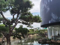 -罗红摄影艺术馆