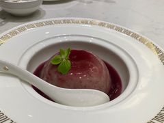 -丁老爷子苏香圆