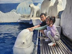 -秦皇岛乐岛海洋王国