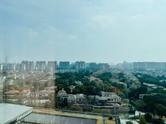 -上海浦东康桥绿地假日酒店