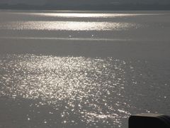 -深圳湾公园(南山区)