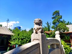 -碑林公园